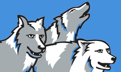 wolfpack logo design