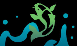 coy fish illustration car design